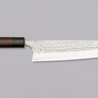 Anryu Gyuto Aogami #2 RC 240 mm