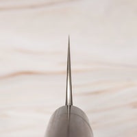 Anryu Gyuto Aogami #2 RC 240 mm