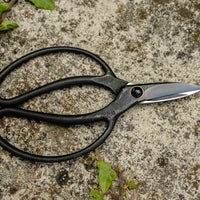 Bonsai Wakashishi Scissors Shirogami 195 mm
