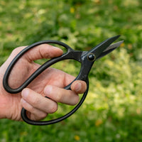 Bonsai Wakashishi Scissors Shirogami 195 mm