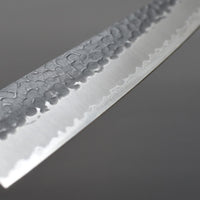 Hokiyama Gyuto Aogami Super Tsuchime 210 mm_5