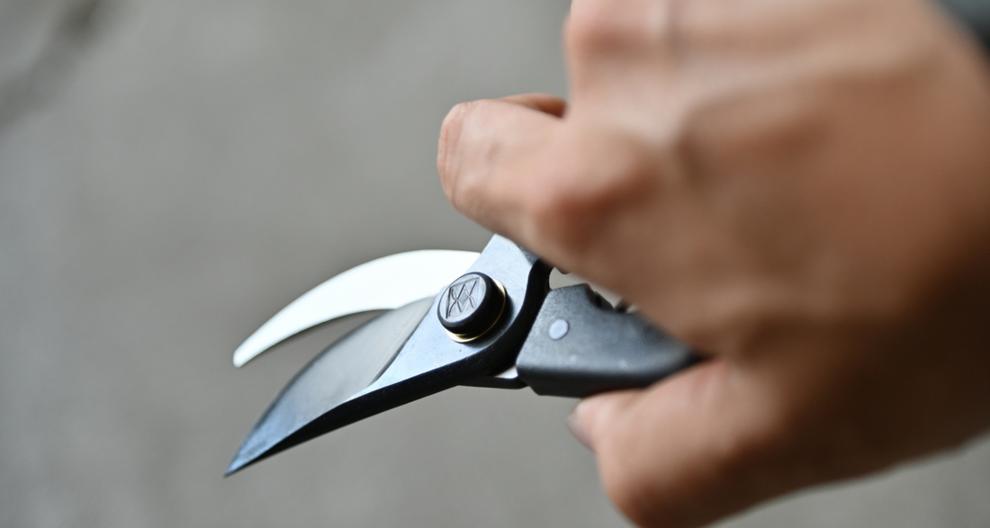 KUROCO Japanske vrtne škare za rezidbu grana 200 mm