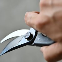 KUROCO Japanske vrtne škare za rezidbu grana 200 mm