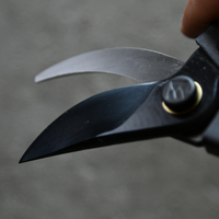 KUROCO Japanske vrtne škare za rezidbu grana 200 mm