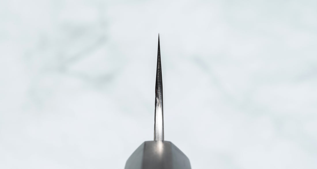 Yu Kurosaki Gyuto Fujin SG2 210 mm