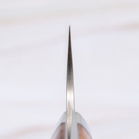 Saji Gyuto R2 Ironwood 210 mm_3