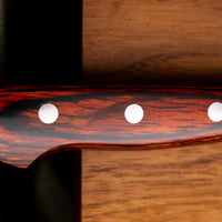 Sakai Takayuki nož za meso Damascus 210 mm