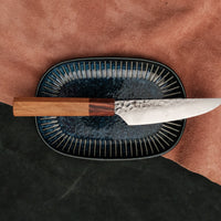 Sakai Takayuki Steak Petty VG-10 Damascus 120 mm