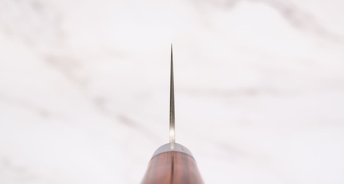 Takamura Gyuto SG2 Migaki 210 mm_3
