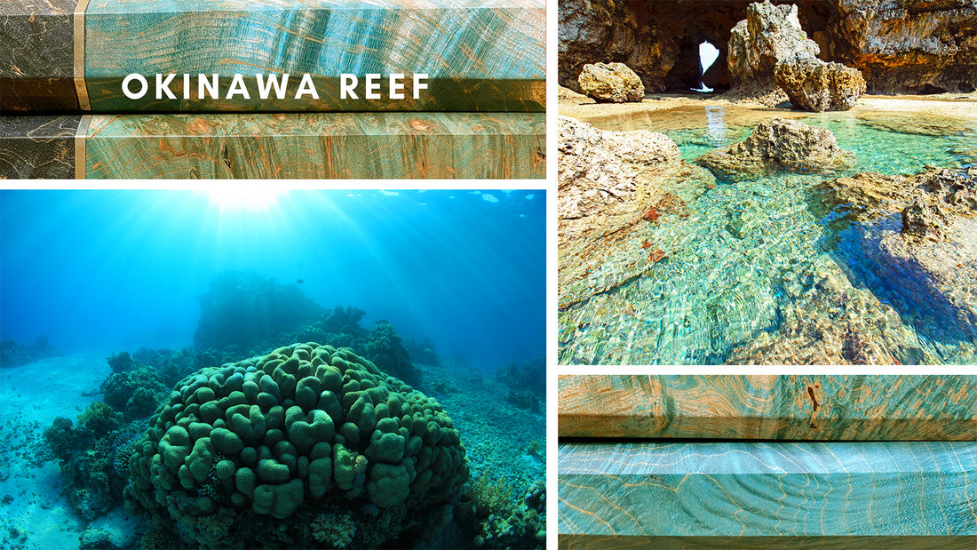 Japanska Drška Okinawa Reef