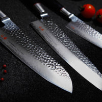 Senzo Classic Gyuto 240 mm_7