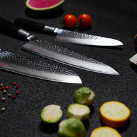 Senzo Classic Gyuto 200 mm_8