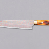 Saji Gyuto VG-10 Rainbow Damascus 210 mm_2