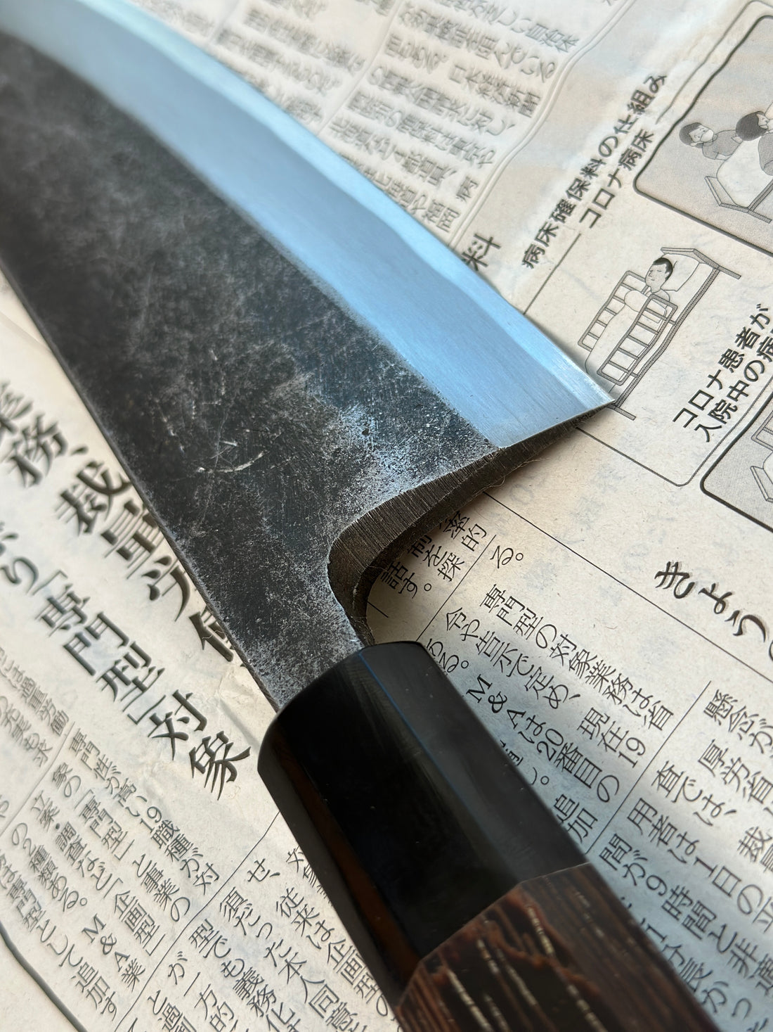 Shirasagi Kiritsuke Deba Aogami #2 Kuro-uchi 180 mm_7