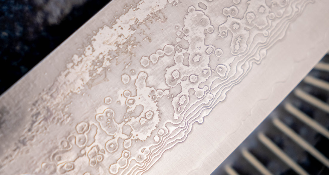 Makoto Kurosaki Santoku VG-10 Kodama Keyaki 165 mm