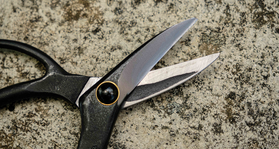 Bonsai Wakashishi Scissors Shirogami 195 mm