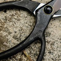 Bonsai Wakashishi Scissors Shirogami 195 mm