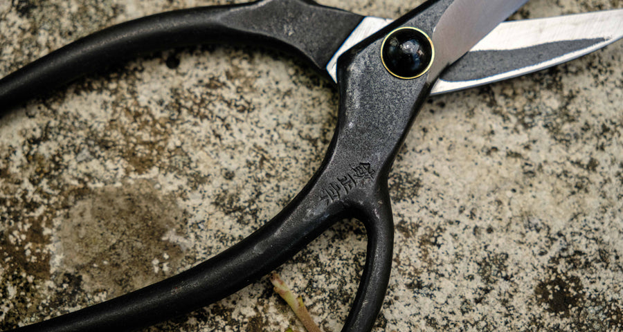 Bonsai Wakashishi Scissors Shirogami 195 mm