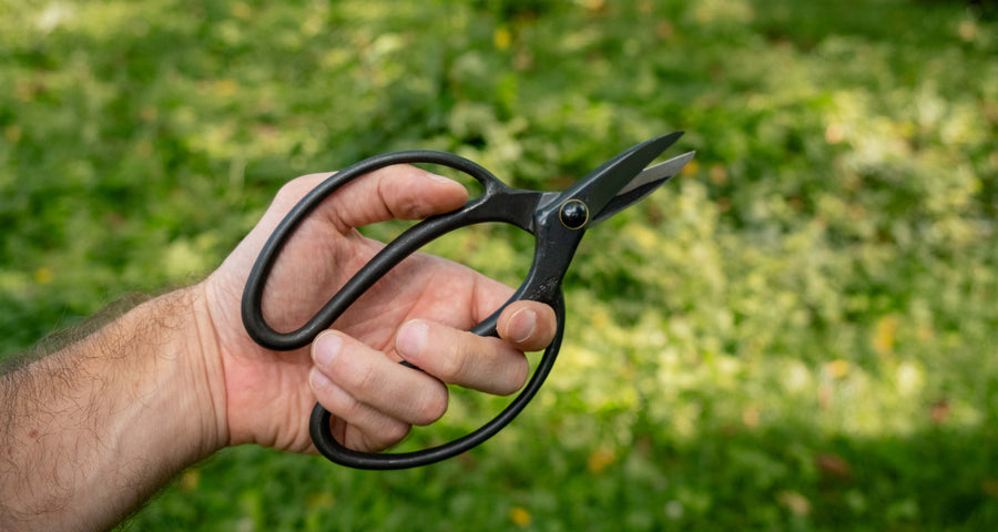 Bonsai Wakashishi Scissors Shirogami 195 mm