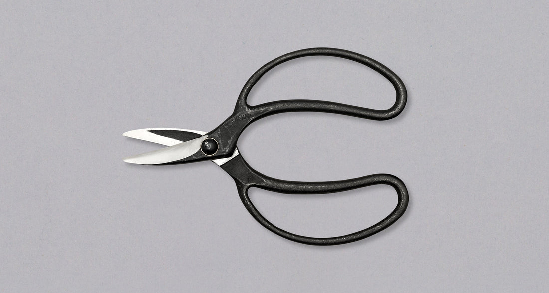 Bonsai Wakashishi Scissors Shirogami 195 mm