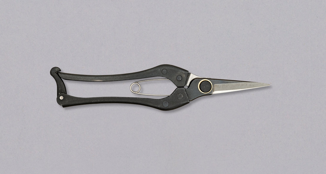 KUROCO Japanske škare za rezidbu ravne 200 mm