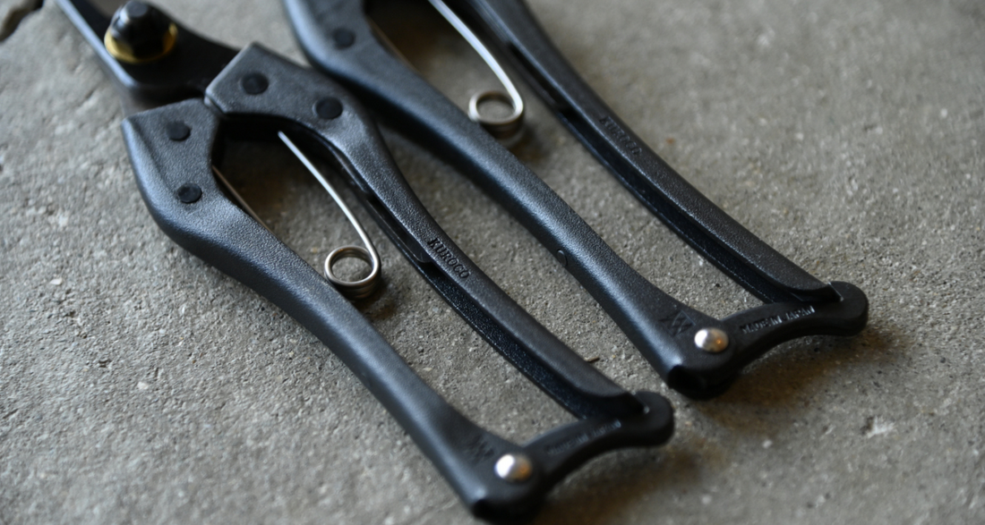 KUROCO Japanske škare za rezidbu ravne 200 mm