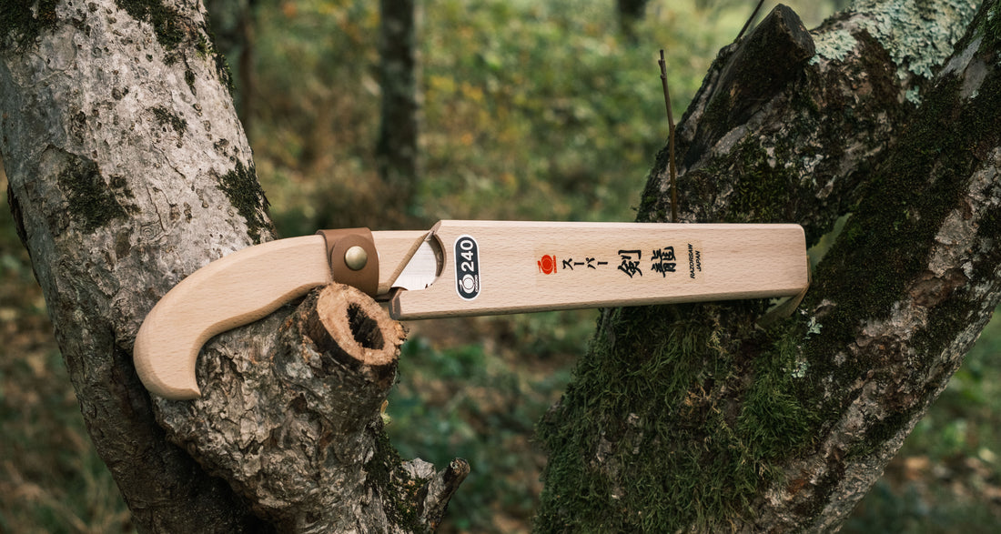Kenryu japanska pila za grane 240 mm