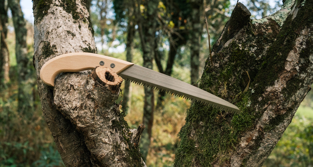 Kenryu japanska pila za grane 240 mm