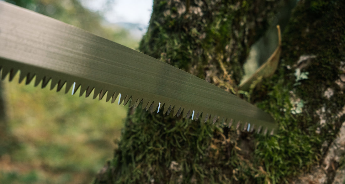 Kenryu japanska pila za grane 240 mm