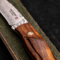 Mcusta Mike Irie Sport 100 Damascus VG-10 Core Ironwood Fixed Blade [MC-0231DI]