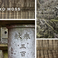 Japanska Drška Nikko Moss