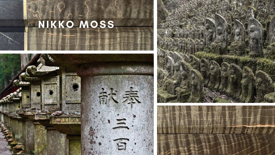 Japanska Drška Nikko Moss