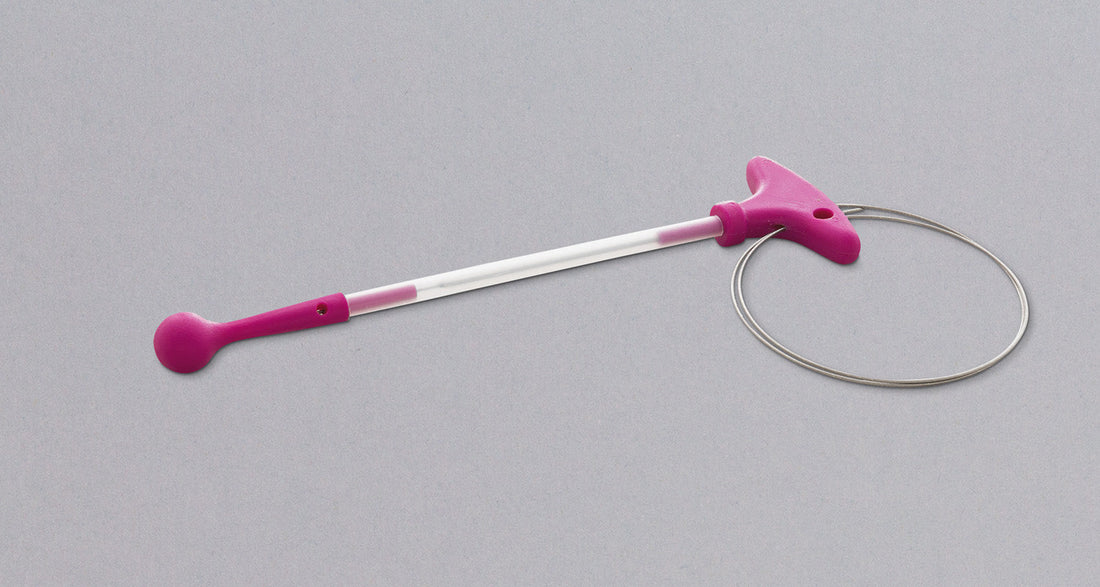 Ikejime [japanska sprava za ribe]_1