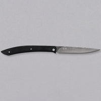 Saji sklopivi nož za odreske SG2 Damascus 100 mm [Black Micarta]