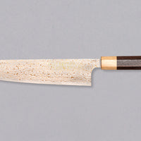 Saji Gyuto VG-10 Rainbow RWO 240 mm