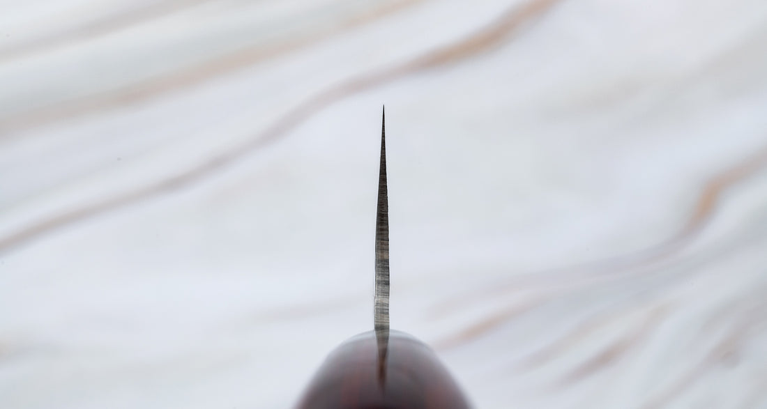 Sakai Takayuki nož za meso Damascus 210 mm