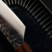 Sakai Takayuki Steak Petty VG-10 Damascus 120 mm