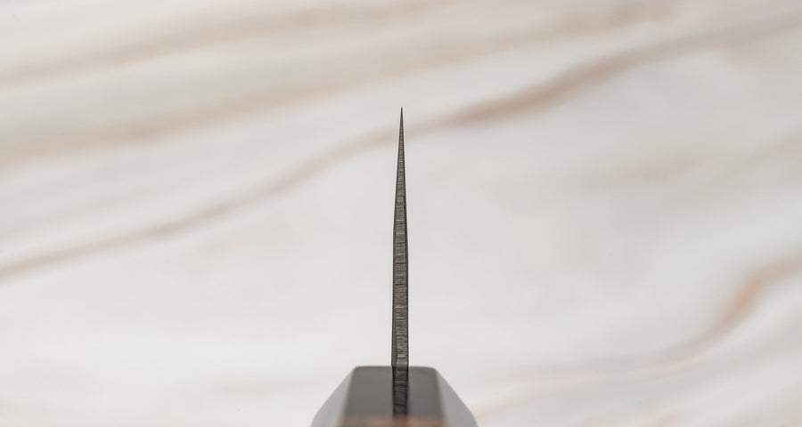 Tadafusa Gyuto SLD Polished Hammered 210 mm