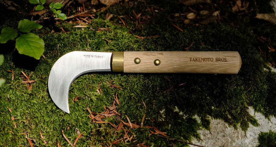 Takemoto Agave Mushroom Srp 75 mm