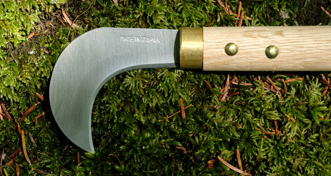 Takemoto Agave Mushroom Srp 75 mm