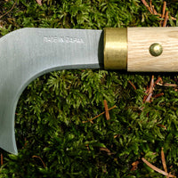 Takemoto Agave Mushroom Srp 75 mm