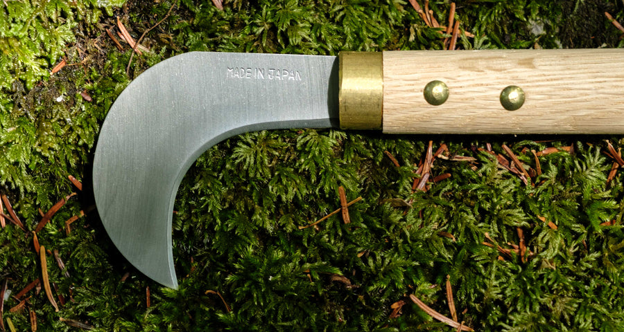 Takemoto Agave Mushroom Srp 75 mm