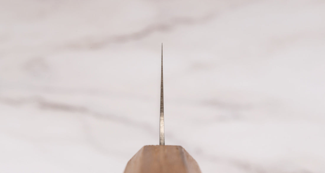 Detaljan pogled na choil Tojiro Kiritsuke Gyuto SG2 210 mm, koji prikazuje tanak profil i izradljivost oštrice.