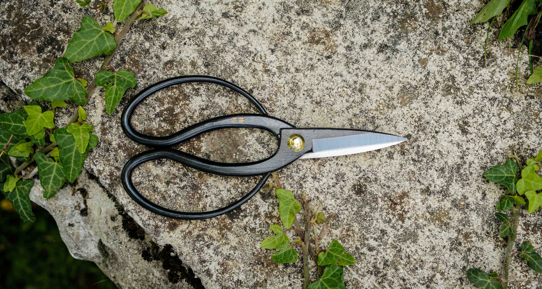 Tsurumaki Bairyu Long Blade Bonsai Okubo Scissors 200 mm