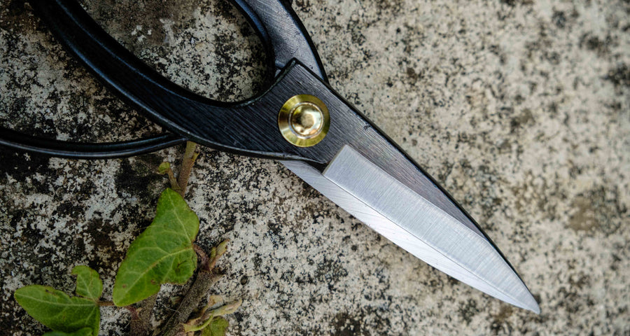 Tsurumaki Bairyu Long Blade Bonsai Okubo Scissors 200 mm