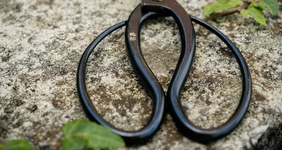 Tsurumaki Bairyu Long Blade Bonsai Okubo Scissors 200 mm