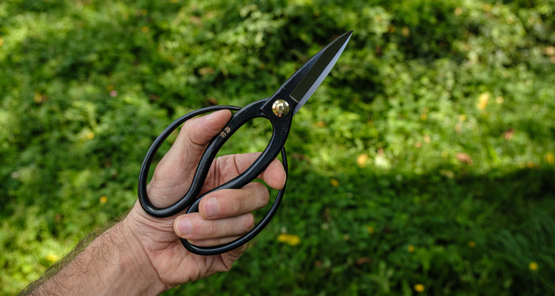 Tsurumaki Bairyu Long Blade Bonsai Okubo Scissors 200 mm