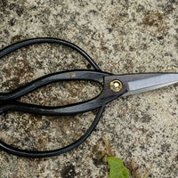 Tsurumaki Bairyu Long Blade Bonsai Okubo Scissors 165 mm