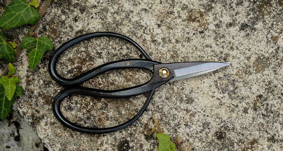 Tsurumaki Bairyu Long Blade Bonsai Okubo Scissors 165 mm