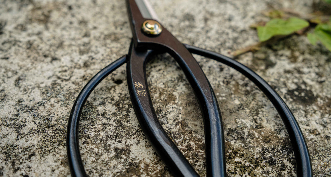 Tsurumaki Bairyu Long Blade Bonsai Okubo Scissors 165 mm